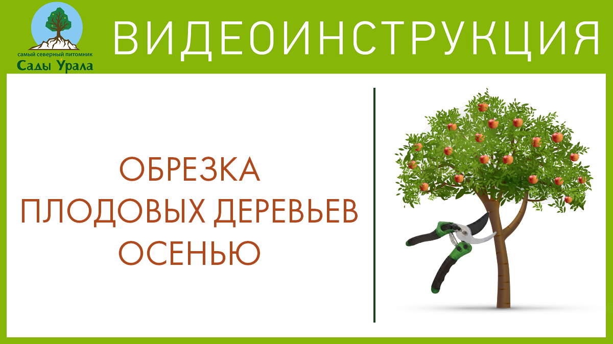 Формирование кроны плодового дерева. Телепередача Земля Уральская. Архив смотреть онлайн