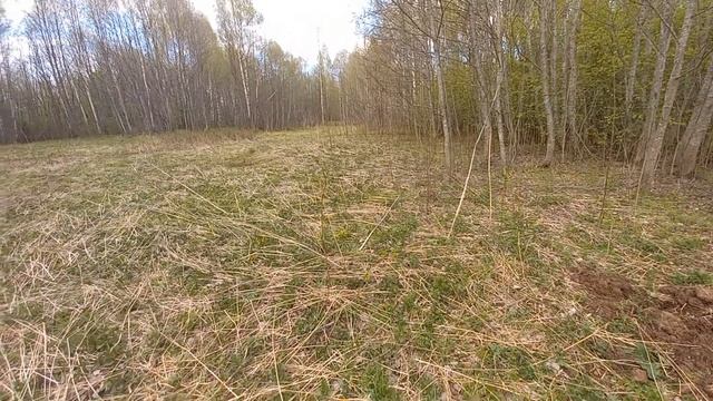 ВОТ ЭТО ДА. НАШЕЛ ПОЛЕ В ЛЕСУ С МЕТАЛЛОМ #КОПМЕТАЛЛА2023. смотреть онлайн