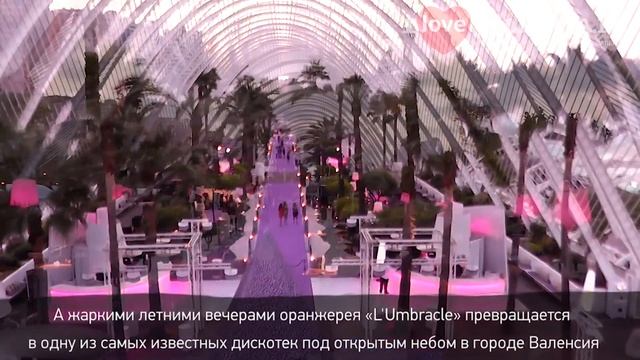 Оранжерея и лучшая дискотека в Валенсии «L'Umbracle». ? Отдых и развлечения в городе Валенсия. смотреть онлайн