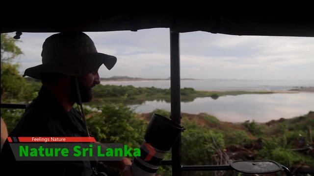 Wildlife Safari Park Tour in Yala National Park Sri Lanka 2021 смотреть онлайн