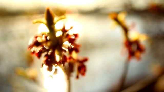 Весна на Заречной улице смотреть онлайн