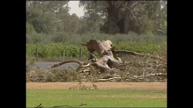 Prime News - Wagga Storm - 21st January 2009 смотреть онлайн