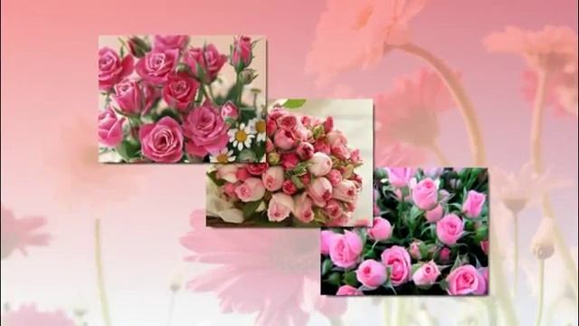 Цветочный альбом Коллажи в программе Фото Шоу Про Https://youtu.be/DqT2hKmgtao