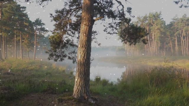 Исполнение желания сильный метод смотреть онлайн