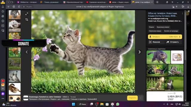 Оцениваю канал/пиар/Видео стрим!? смотреть онлайн