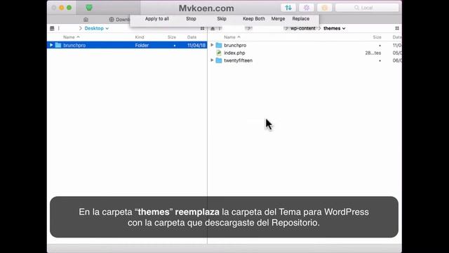 ¿Cómo actualizar un Tema para WordPress vía FTP? смотреть онлайн