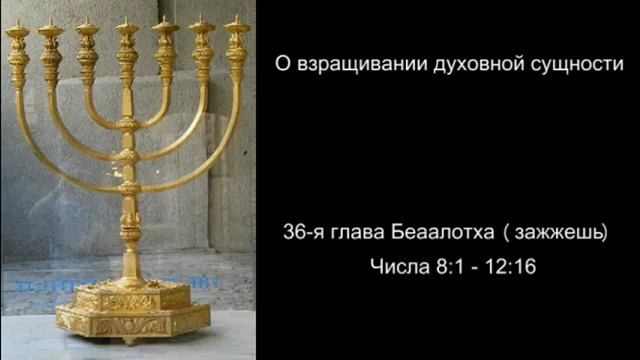 36 шаббат беаалотха 5772 смотреть онлайн