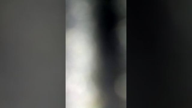 Мой новый маг Буг от компании эйпал