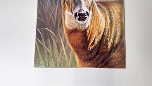 Деревянная разделочная декоративная доска для кухни "Олень" смотреть онлайн