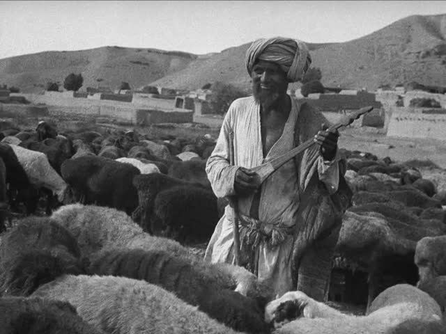 Сергей Курёхин - НЕВЕСТА КРУМХОРНА (Опера богатых ч. 3) смотреть онлайн