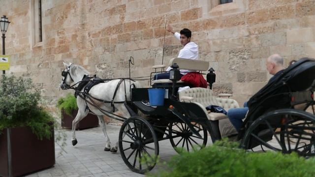 Test Canon EOS-1D X Mark II ,Canon EF 35mm f/2 IS USM смотреть онлайн