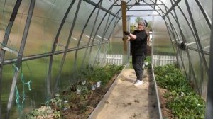 Полки в теплицу