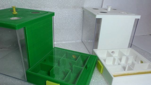 Новый дом лесных муравьев смотреть онлайн