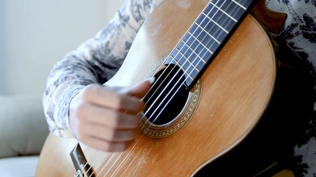 BUBBLEGUM KK - Animal Crossing: New Horizons ~ solo GUITAR cover смотреть онлайн