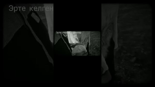 Махабат дастаны краткий клип от 9 а класса💕 #чынгызайтматов смотреть онлайн