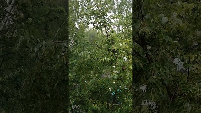 Глоток свежести после 32 градусов жары Москва 31.05.2024