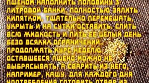 СТАРИННЫЙ РЕЦЕПТ   ЛЕЧЕНИЕ ПОЧЕК ПШЕНОМ