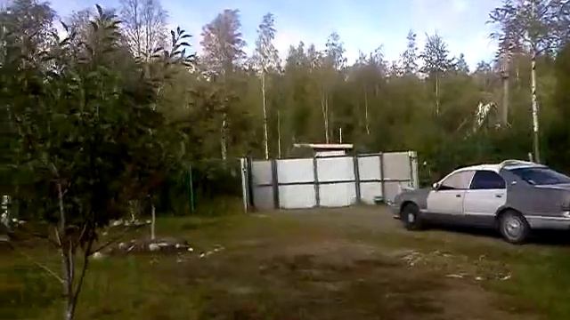 Виноград ГРЕЦКИЙ орех ? ФУНДУК АЛЫЧА САНКТ ПЕТЕРБУРГЕ Лен обл. ОЧЕНЬ смотреть онлайн