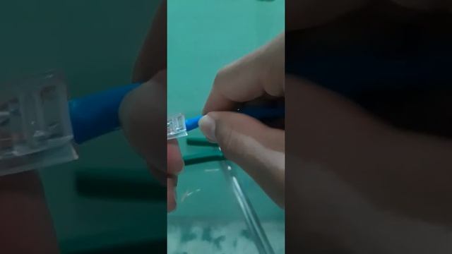 ¿Como ponchar cable UTP? (NORMA T568A - T568B) Cable directo / cable cruzado смотреть онлайн