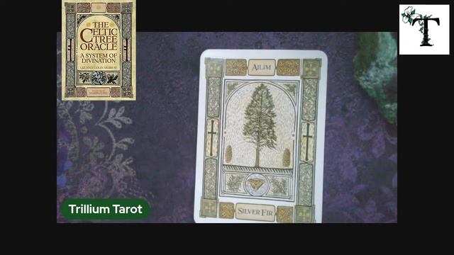 Celtic Tree Oracle смотреть онлайн