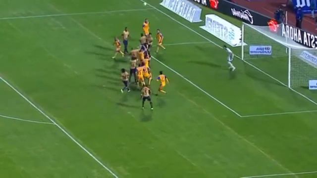 Gol torales • PUMAS VS tigres смотреть онлайн