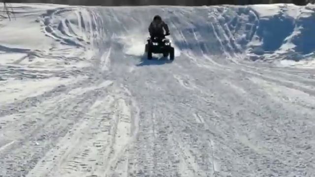 Покатушки на квадроцикле promax 300 wild смотреть онлайн