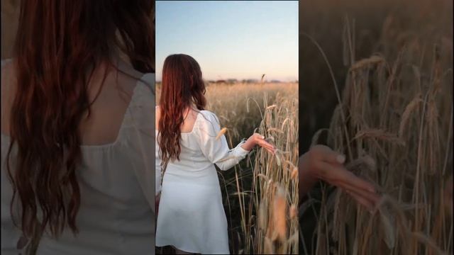 Алена, фотосессия в пшеничном поле Псков смотреть онлайн