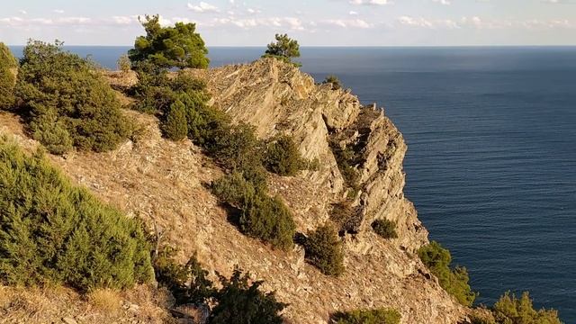 5 Морское, Зеленогорье смотреть онлайн
