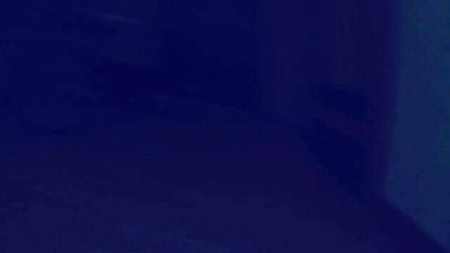 Как видят животные | Kelahis смотреть онлайн