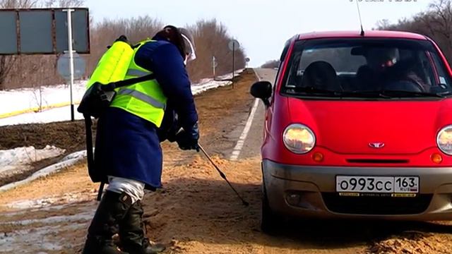 Сжигание инфицированных свиней смотреть онлайн