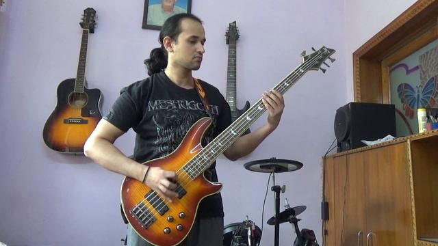 The other half of me instrumental cover - Born of Osiris смотреть онлайн