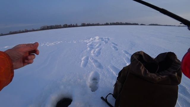 ГДЕ РЫБА! Ловля судака зимой. смотреть онлайн