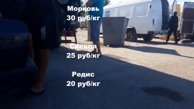 Рынок Большие Копани Цены 8 сентября смотреть онлайн