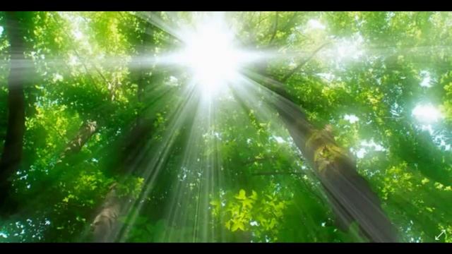 21 День изобилия - День 1 смотреть онлайн