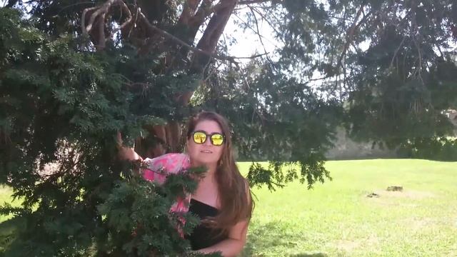 рассказ про красное дерево смотреть онлайн