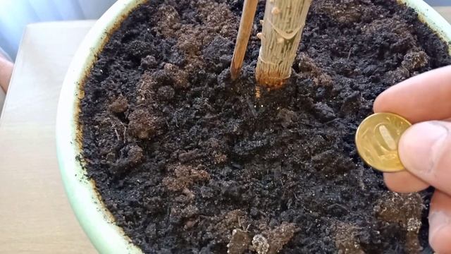 Денежные приметы, как привлечь деньги чтобы водились в доме смотреть онлайн