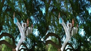 3Д видео для телевизора.