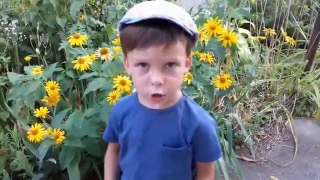 Гордей Липницкий читает стих "Вишня" смотреть онлайн