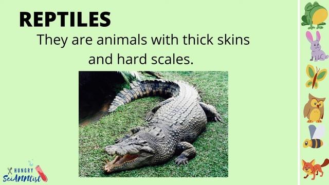 Vertebrates | Science Lesson for Kids | смотреть онлайн