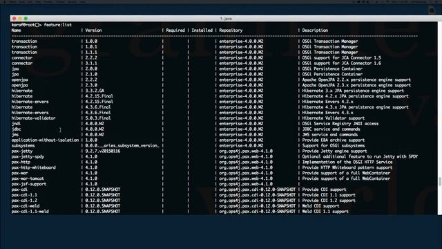 Installing Apache Karaf With Web Console From Scratch смотреть онлайн