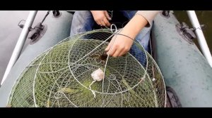 ЛУЧШАЯ ПРИМАНКА на РАКА по ХОЛОДНОЙ ВОДЕ. Тест ЗИМНЕЙ РАКОЛОВКИ. ЛОВЛЯ РАКОВ РАКОЛОВКАМИ.