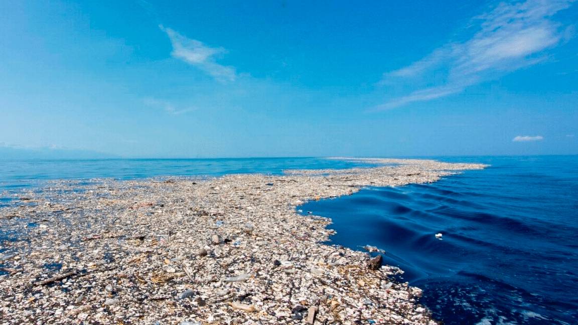 Nature Relaxation Film 8K - Peaceful Relaxing Music - Nature 8k Video UltraHD