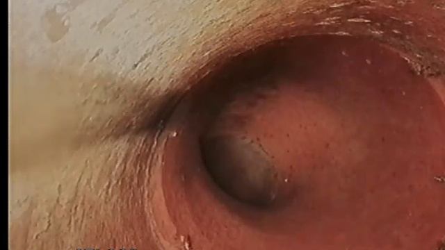 2028 N Royer St. 08/13/2020 смотреть онлайн