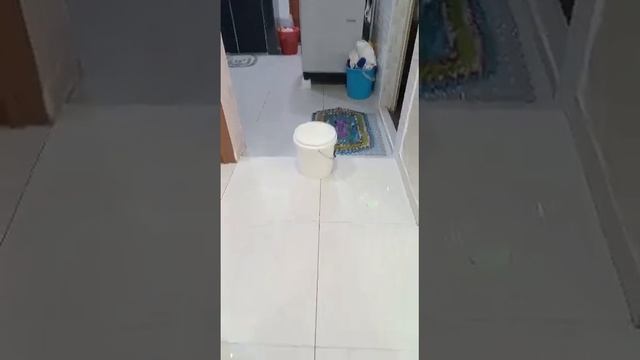 Ping pong challange Lv 1-3 смотреть онлайн