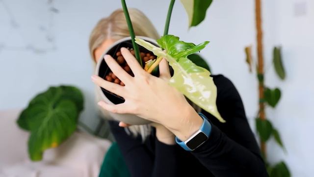 I'm Literally OBSESSED With These Plants!