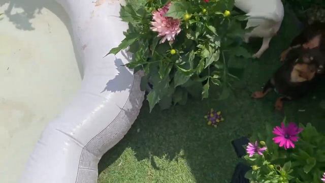 Водные процедуры. смотреть онлайн