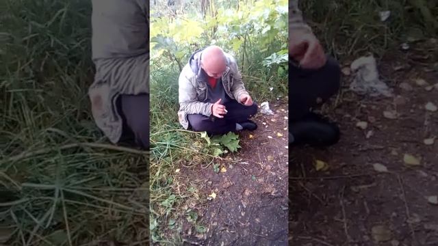 Прикол .Корткерос. парк. пранк смотреть онлайн