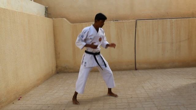 #23 KUMITE STANCE AND BASICS/SHOTOKAN/KARATE BASICS/BASIC MOVEMENTS #SHOTOKAN#KUMITEBASICS#KARATE смотреть онлайн