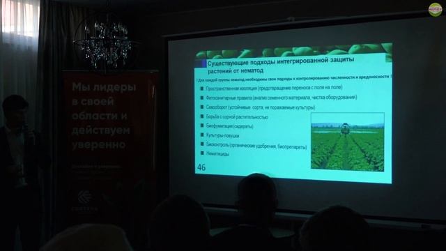 Решаем проблему нематод в посевах картофеля смотреть онлайн