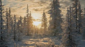 Носков Николай  Снег